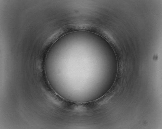 X0000092240258200709281130