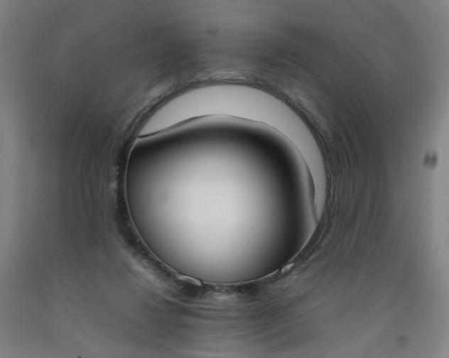 X0000092240260200709281130