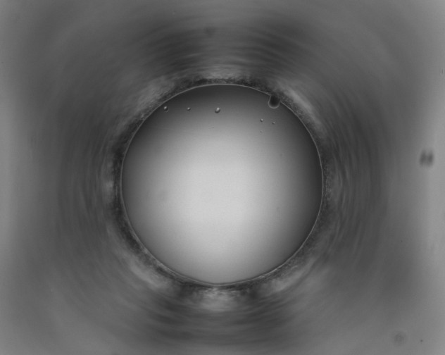 X0000092240261200709281130