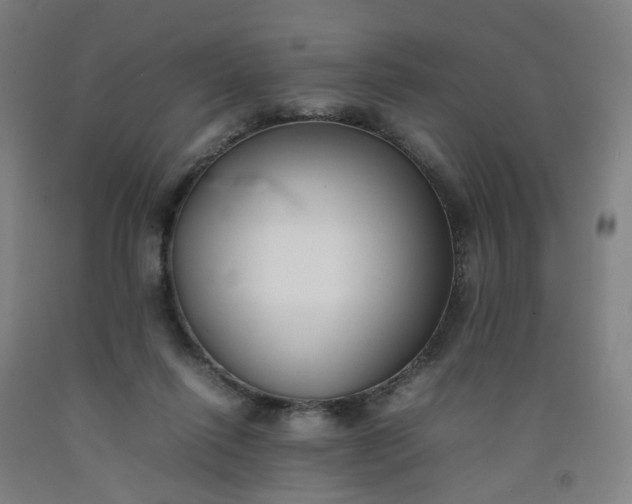 X0000092240262200709281130