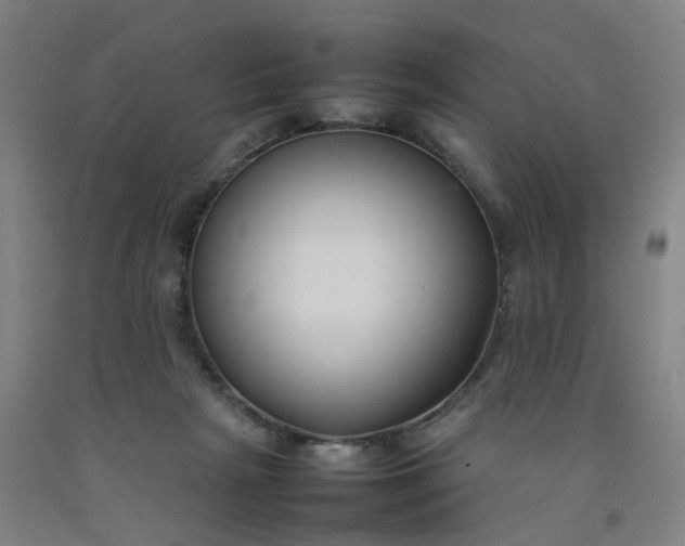 X0000092240265200709281130