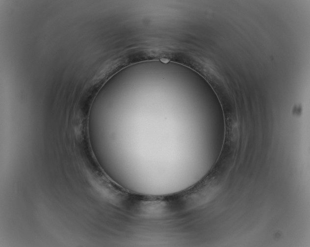 X0000092240266200709281130