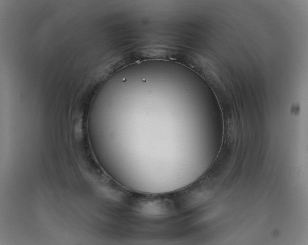 X0000092240267200709281130