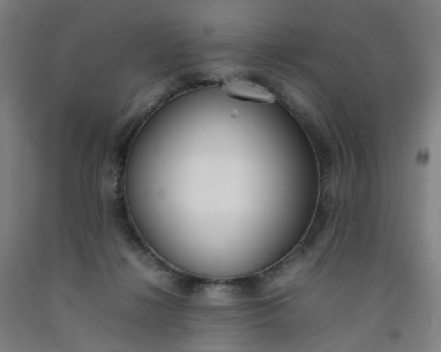 X0000092240268200709281130