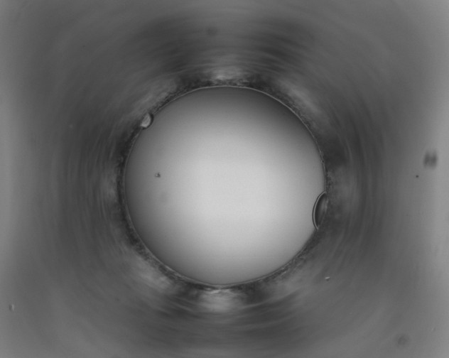 X0000092240269200709281130