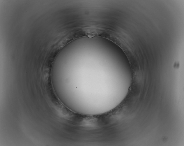 X0000092240271200709281130