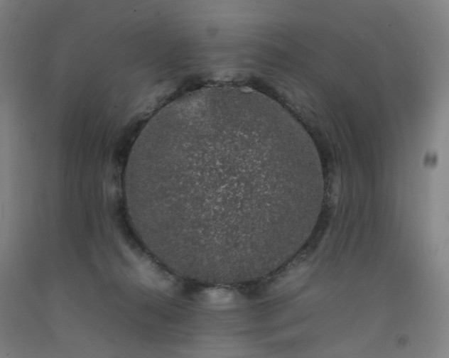 X0000092240272200709281130