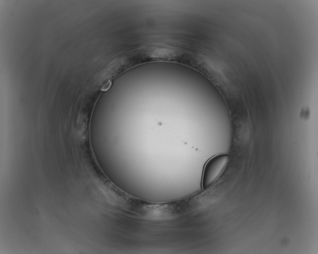 X0000092240273200709281130