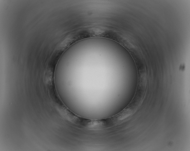 X0000092240274200709281130