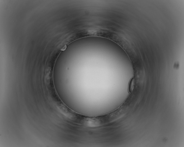 X0000092240275200709281130