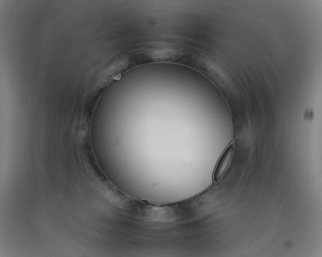 X0000092240277200709281130