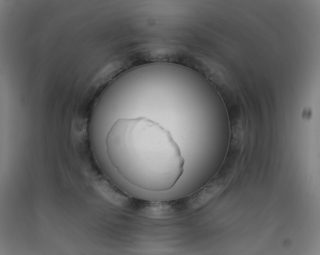 X0000092240278200709281130