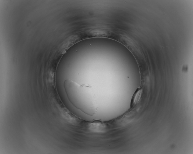 X0000092240281200709281130