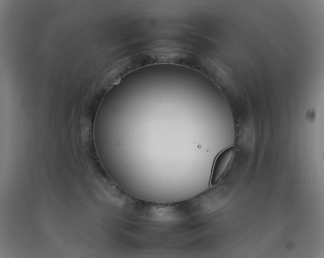 X0000092240283200709281130