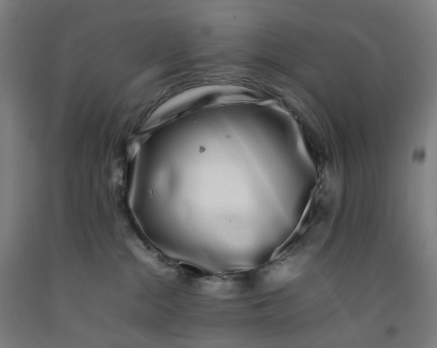 X0000092240284200709281130