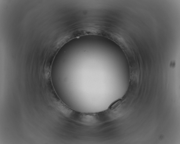 X0000092240285200709281130