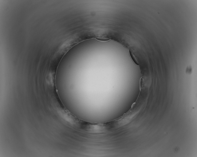 X0000092240286200709281130