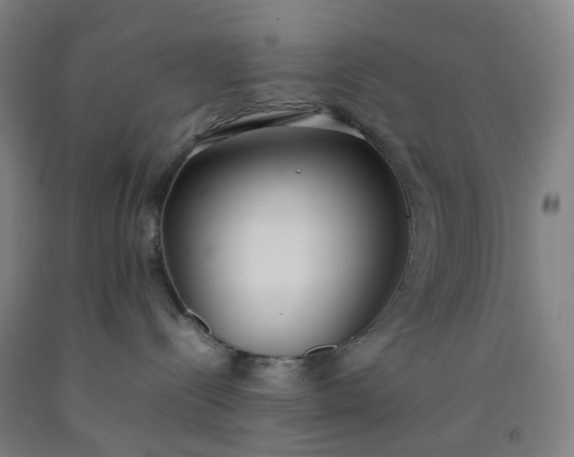 X0000092240288200709281130