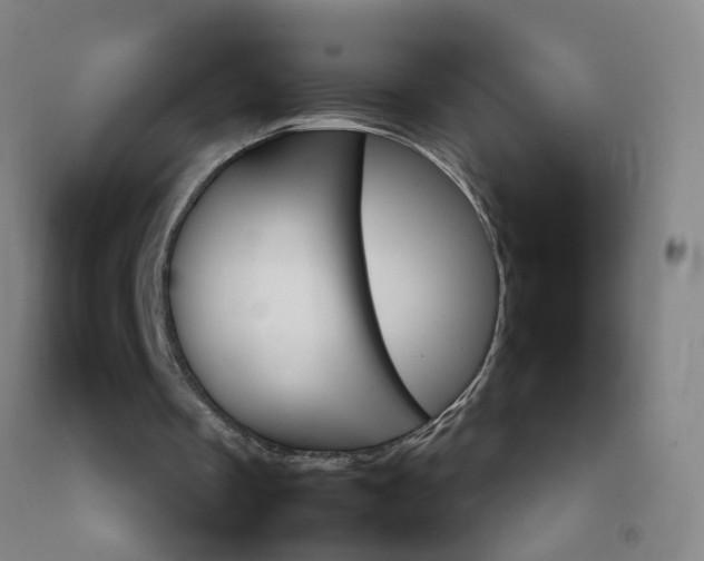 X0000092240289200709281129