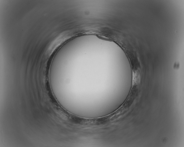 X0000092240291200709281129