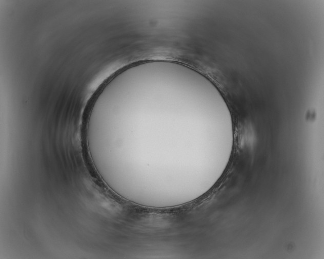 X0000092240292200709281129