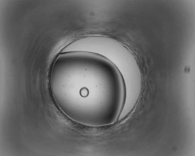 X0000092240293200709281129