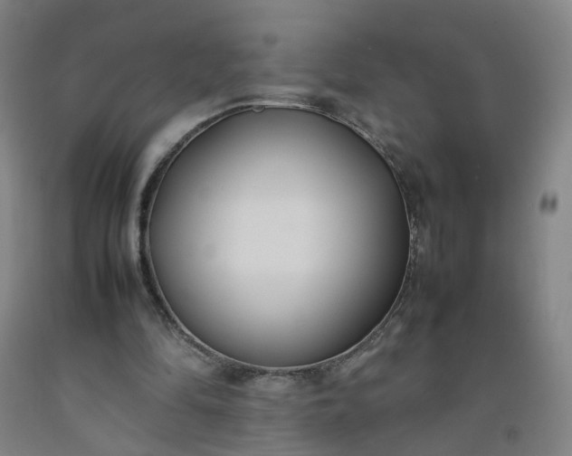 X0000092240294200709281129