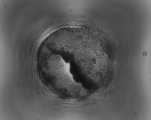 X0000092240295200709281129