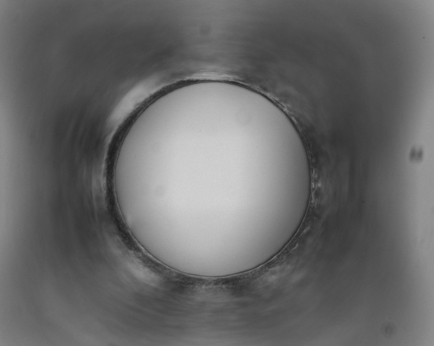 X0000092240296200709281129