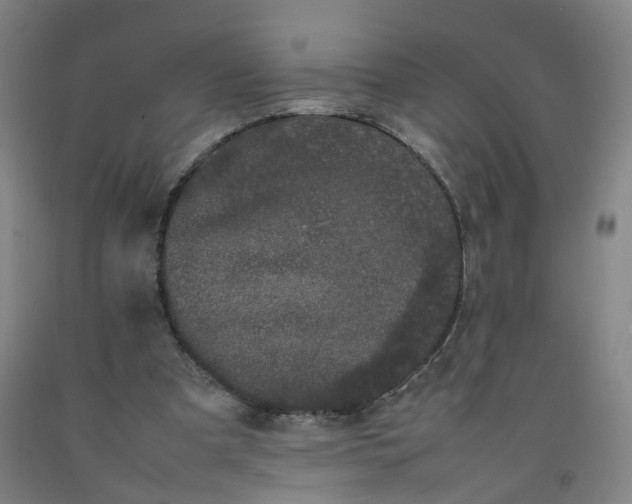 X0000092240297200709281129