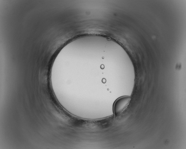 X0000092240299200709281129