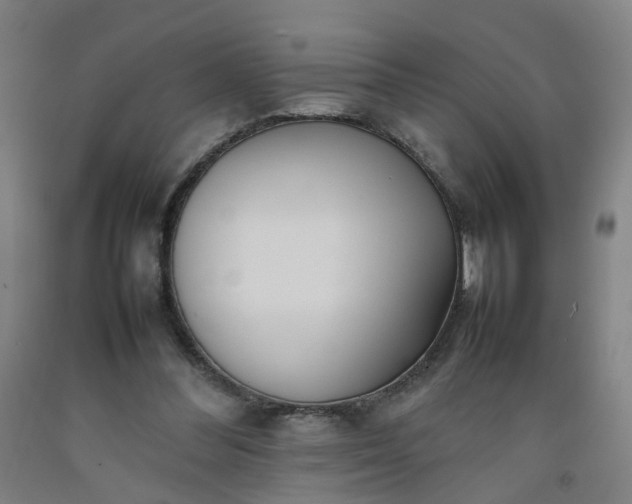 X0000092240300200709281129