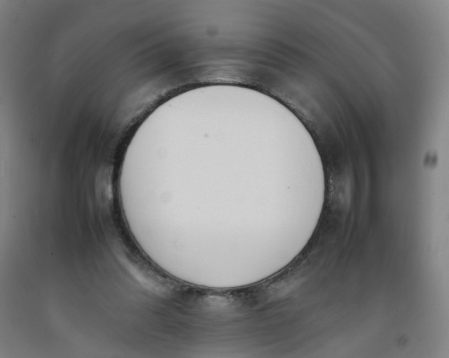 X0000092240302200709281129