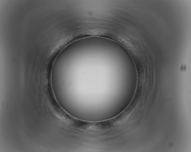 X0000092240303200709281129