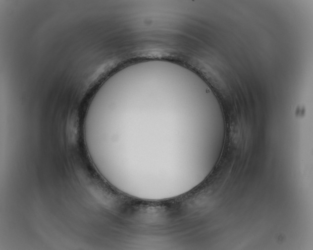 X0000092240304200709281129