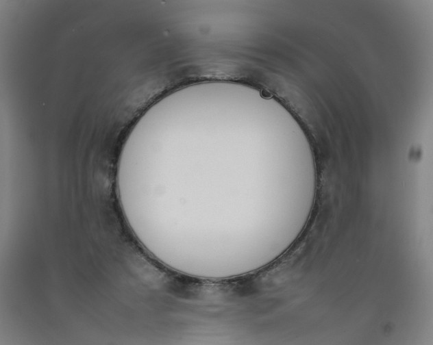 X0000092240305200709281129