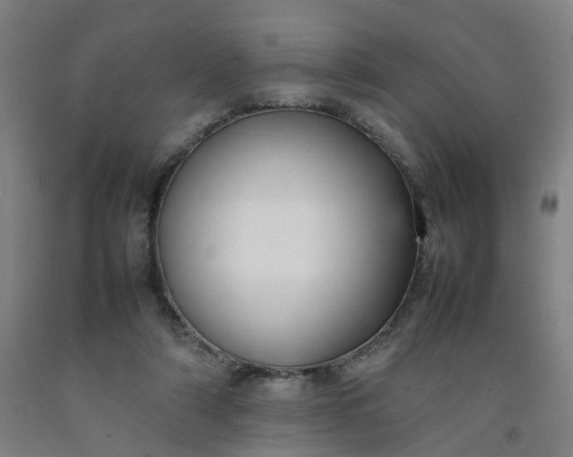 X0000092240306200709281129