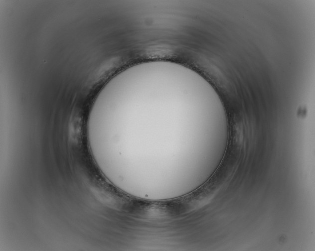 X0000092240308200709281129