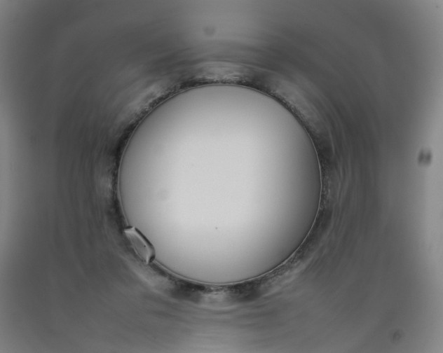 X0000092240309200709281129