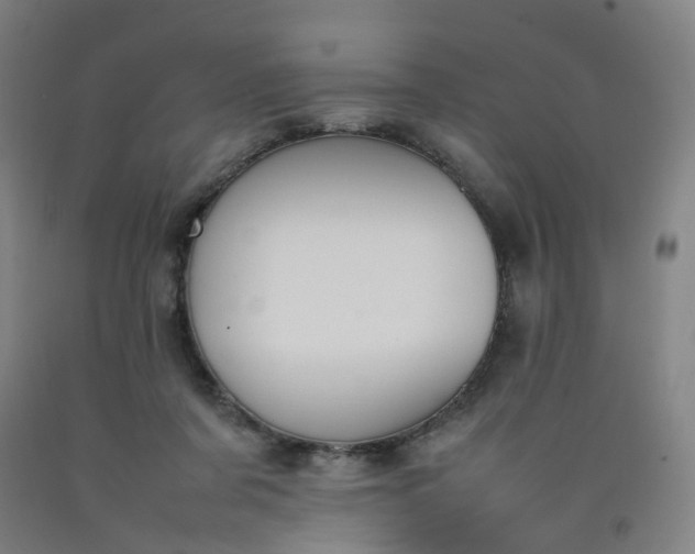 X0000092240311200709281129