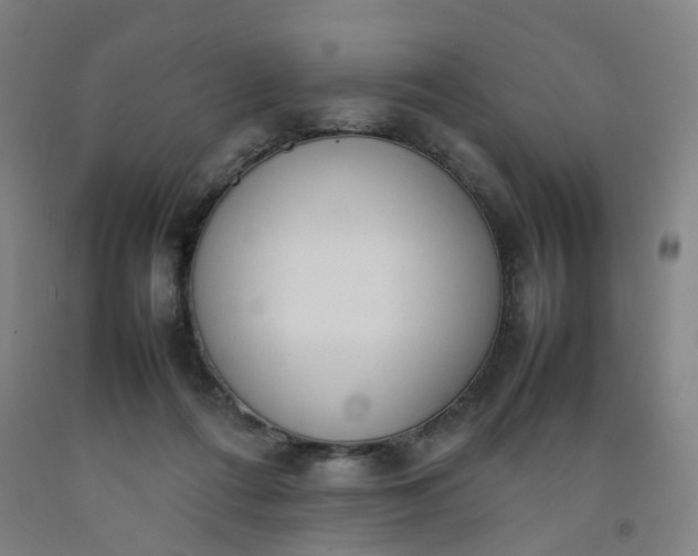 X0000092240312200709281129