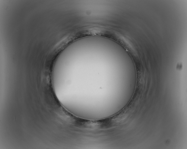 X0000092240313200709281129