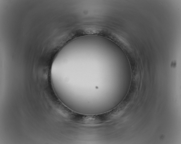 X0000092240315200709281129