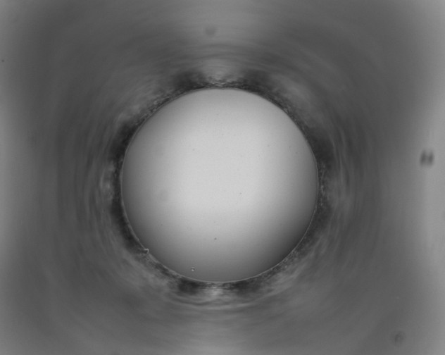 X0000092240319200709281129