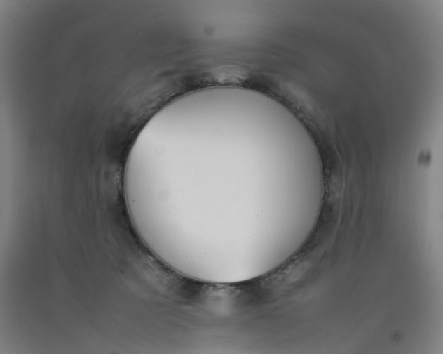 X0000092240321200709281129