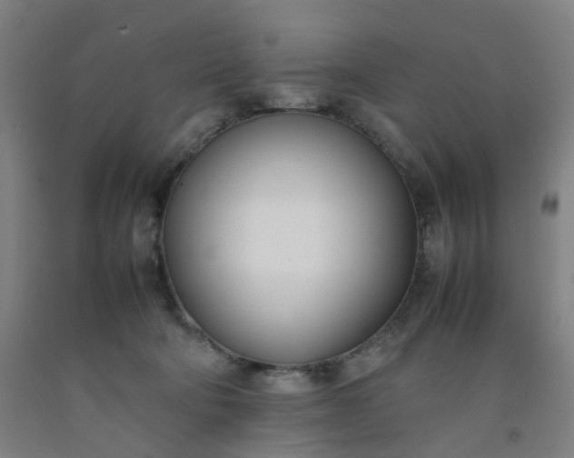 X0000092240322200709281129