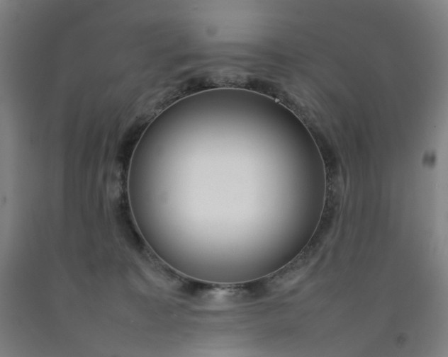 X0000092240323200709281129