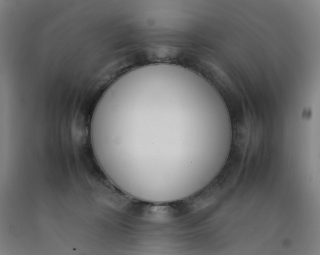 X0000092240324200709281129