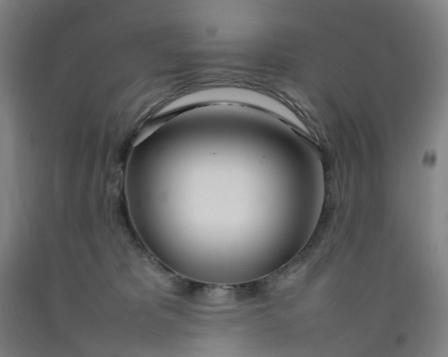 X0000092240325200709281129