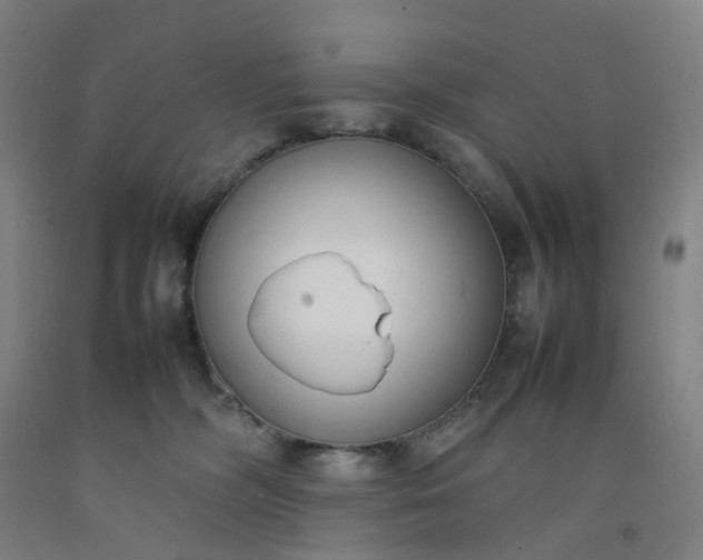 X0000092240326200709281129